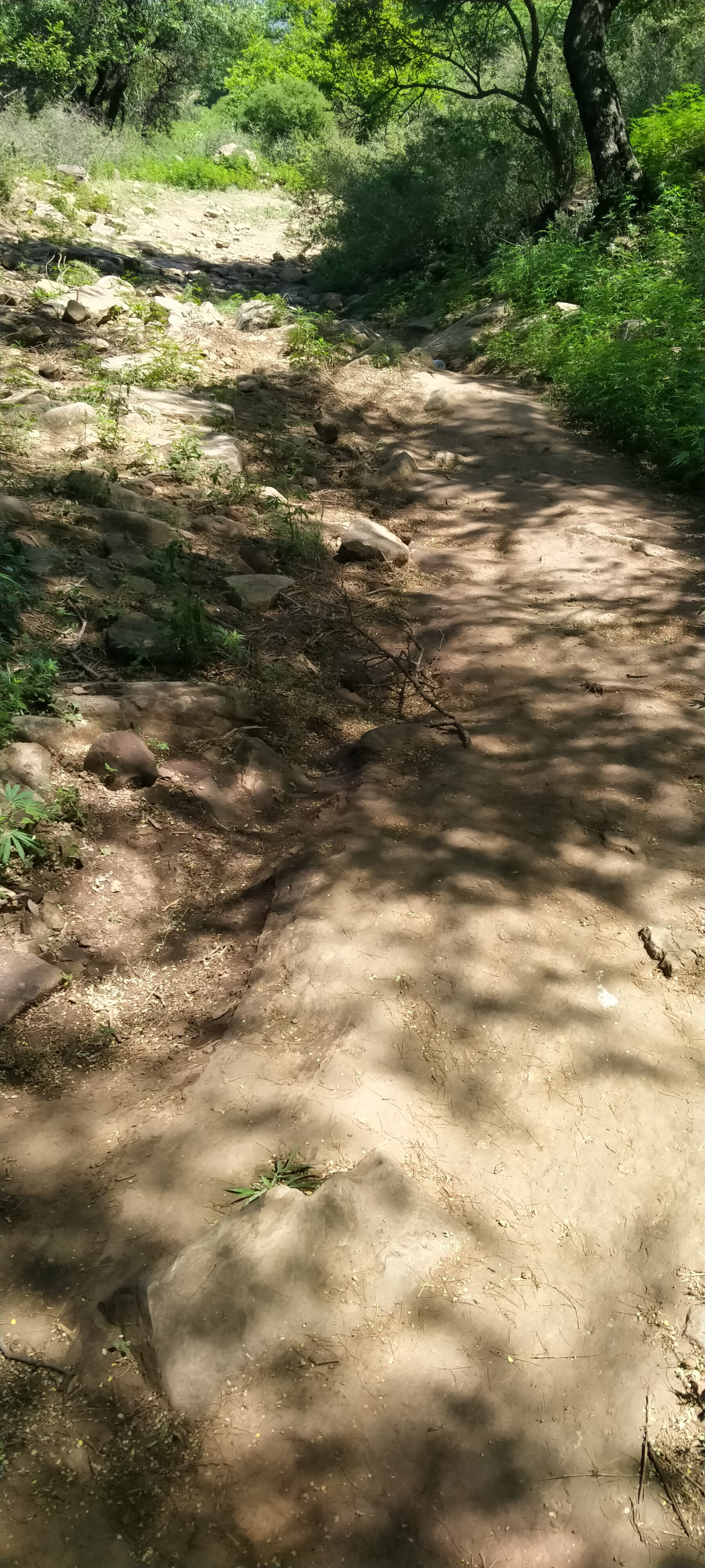 Travel Photo